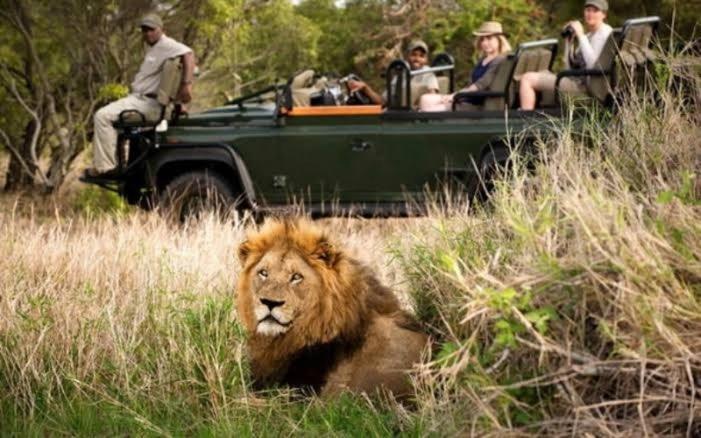 Inyamatane Luxury Lodge Hazyview Kültér fotó